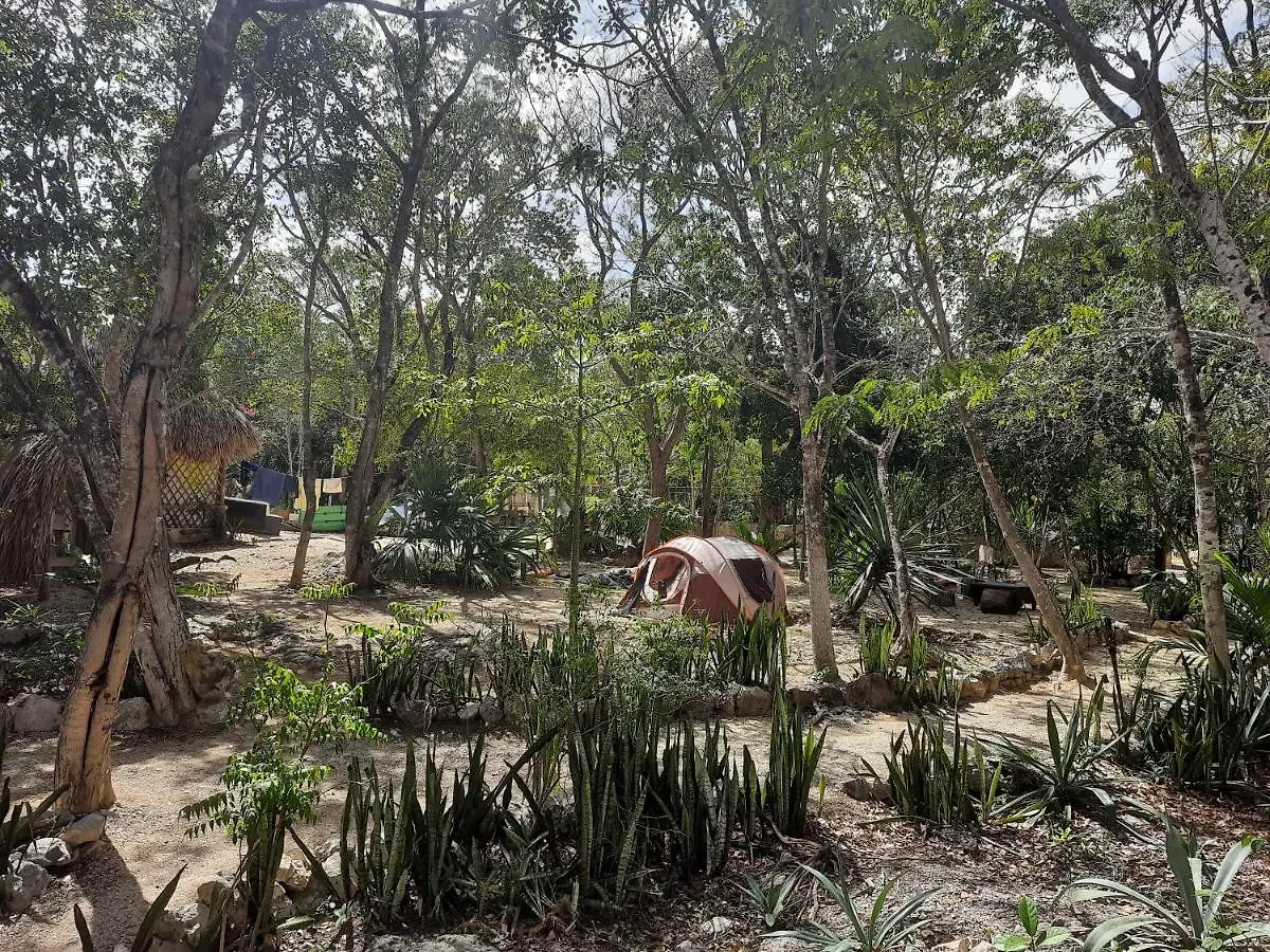 Cenote, Camping & Mas Aldea Maya Tulum Hotel