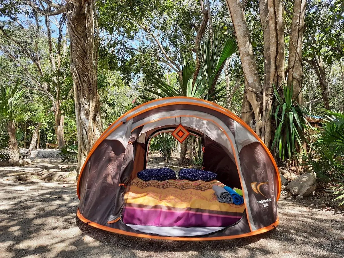 Tente de luxe Hôtel Cenote, Camping & Mas Aldea Maya Tulum Mexique