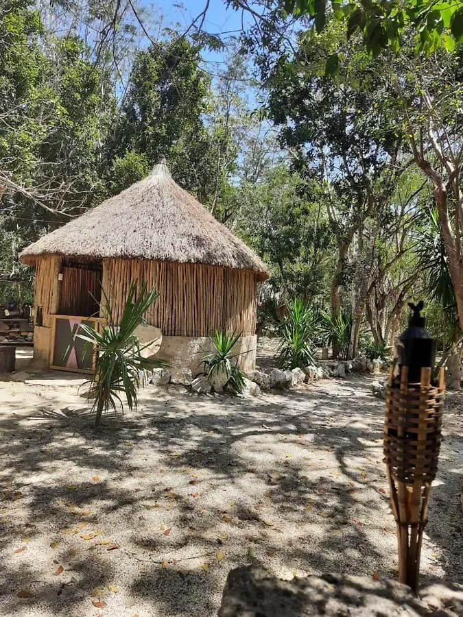 Hôtel Cenote, Camping & Mas Aldea Maya Tulum